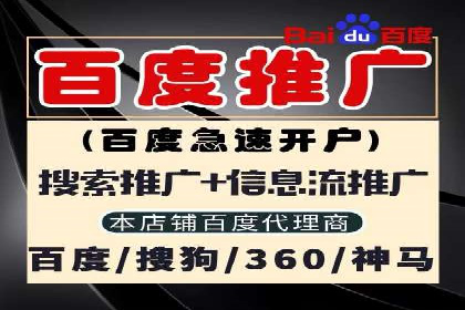 SEM运营推广策略：成功案例解析
